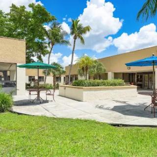 A serene outdoor space featuring palm trees and a sunny sky, perfect for relaxation.