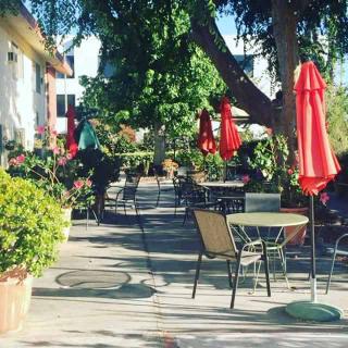 A sunny patio with tables, chairs, and red umbrellas, surrounded by greenery.