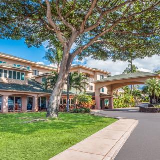 A scenic view of a modern building with lush greenery and palm trees on a sunny day.