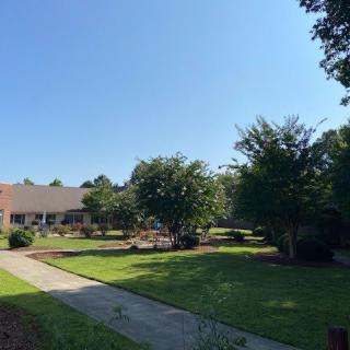 A sunny day with a view of a landscaped garden, trees, and a building in the background.