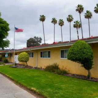 A single-story house with a well-maintained lawn and an American flag in front, set against a backdrop of tall palm trees under a cloudy sky.