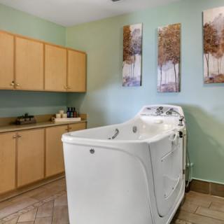 A serene spa-like bathroom featuring a walk-in bathtub and calming decor.