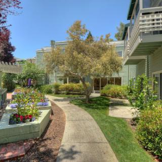 A serene apartment complex with a landscaped garden and pathway.