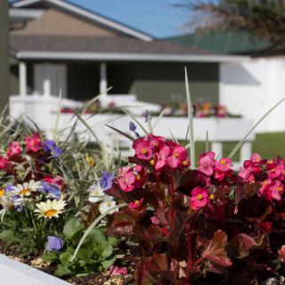 A colorful flower bed in front of a house with a green lawn.
