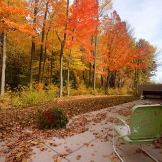 A serene patio surrounded by vibrant autumn foliage and orange-leaved trees.