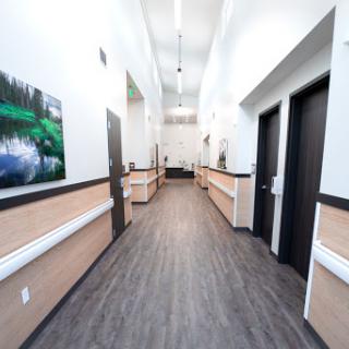 A bright and modern hallway featuring decorative artwork and sleek design.