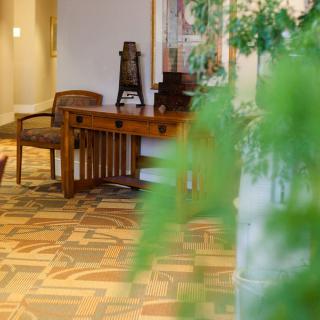 A cozy interior space featuring a wooden desk and chair, complemented by decorative plants.
