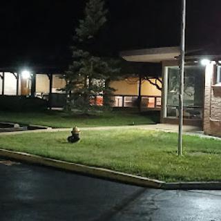 A rabbit sits on the grass at night, illuminated by nearby lights.