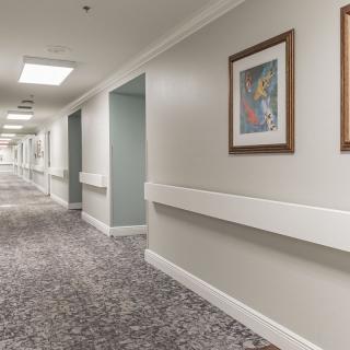 A long, well-lit hallway with carpeted floor and framed paintings on the walls.