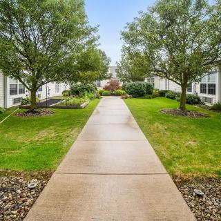 A serene pathway flanked by trees and buildings on a clear day.