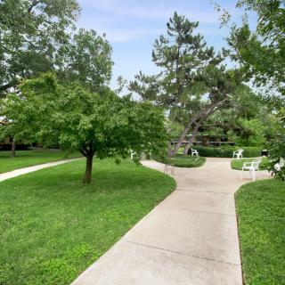 A tranquil park with winding pathways surrounded by lush greenery.
