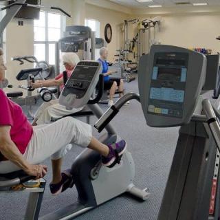 People exercising on gym equipment in a fitness center.