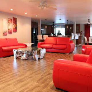 A stylish modern living room featuring vibrant red sofas and a sleek glass coffee table.