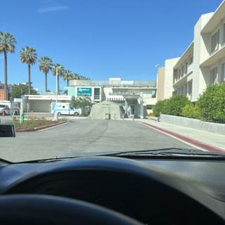 View from inside a car approaching modern buildings lined with palm trees on a sunny day.