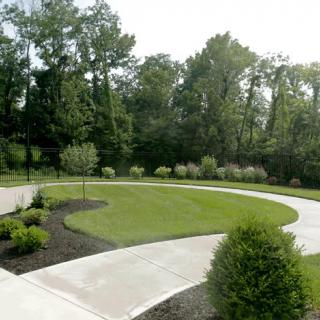 A beautifully landscaped driveway with a lush green lawn and surrounding shrubs.