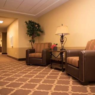 A cozy hallway features two armchairs, a side table with a lamp, and decorative elements including a potted plant.