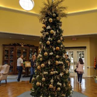 A beautifully decorated Christmas tree stands in a cozy interior, surrounded by people enjoying the festive atmosphere.
