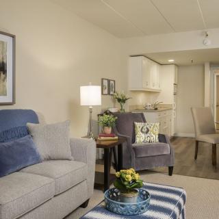 A cozy living room with modern furniture and decor, featuring a sofa, chairs, and a coffee table adorned with plants.