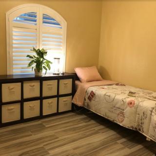 A cozy, minimalist bedroom with a single bed and dresser, featuring a window, indoor plant, and lamp.