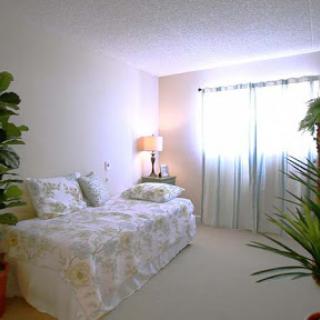 A serene and cozy bedroom featuring a single bed adorned with a floral cover, accompanied by decorative plants and soft natural lighting.