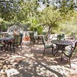 A serene outdoor garden setting with tables and chairs under the shade of trees.