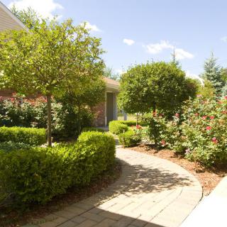 A sunny garden with a paved pathway surrounded by neatly trimmed shrubs and trees.