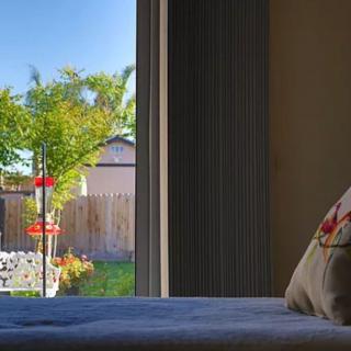 A cozy room with a view of a garden and bird feeder through the window on a sunny day.