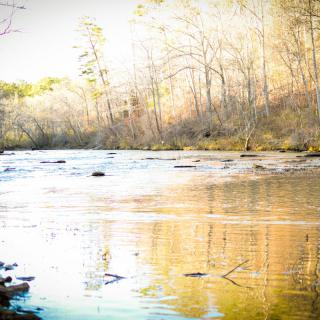 A serene river flowing through a forest with trees reflecting on the water's surface.