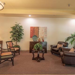 A cozy waiting area featuring comfortable seating and greenery for a welcoming atmosphere.