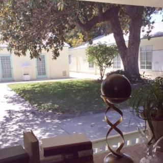A view through a window overlooking a sunlit courtyard with a large tree and various plants.