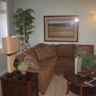 A cozy living room featuring a corner sofa, decorative plants, a lamp, and wall art.