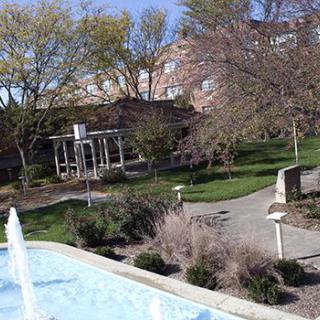 A tranquil garden scene with a fountain, surrounded by trees and pathways on a sunny day.