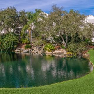 A serene residential area with a small lake surrounded by lush trees and greenery.
