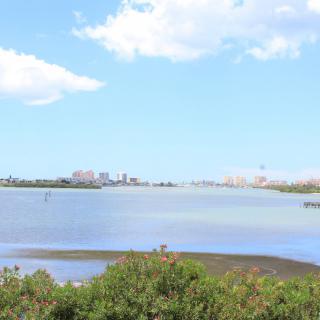 A scenic view of the water with a city skyline in the distance under a clear blue sky.