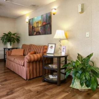 A cozy living room with a striped sofa, indoor plants, and wall artwork.