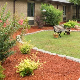 A landscaped garden with a bench surrounded by mulch, shrubs, and a lawn.