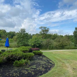 A scenic garden view with a blue umbrella under a partly cloudy sky.