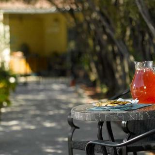 A refreshing drink sits on a table in a serene garden setting.