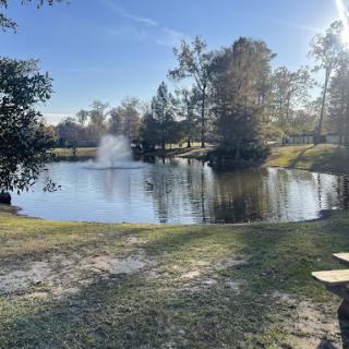 A peaceful view of a pond surrounded by trees, with sunlight reflecting off the water.