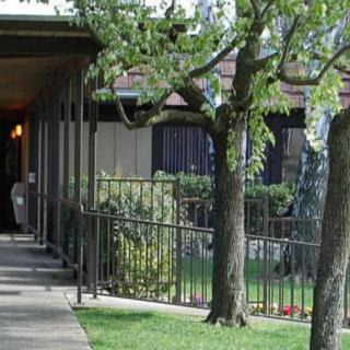 A house with a small front yard, featuring trees and a pathway along the side.