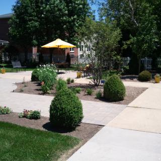 A well-maintained garden featuring a sunny yellow umbrella and neatly trimmed shrubs along a paved walkway.