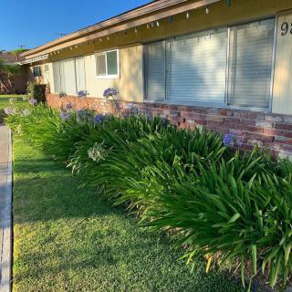 A sunny day highlights a well-maintained garden in front of a house.