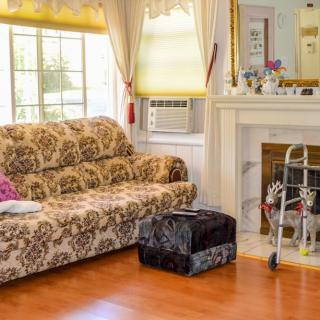 A cozy living room featuring a patterned sofa, a walker, and a pet carrier near the fireplace.