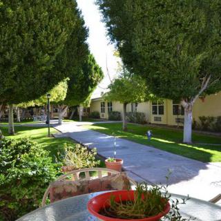 A peaceful garden pathway lined with lush trees and greenery.