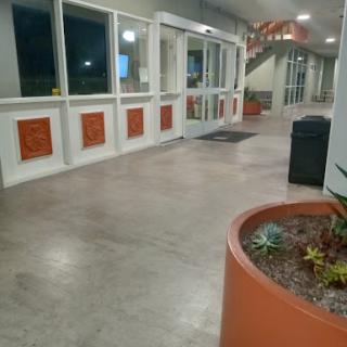 A view of the lobby area featuring a large window, decorative elements, and potted plants at night.