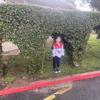 Life Care Center Of Menifee