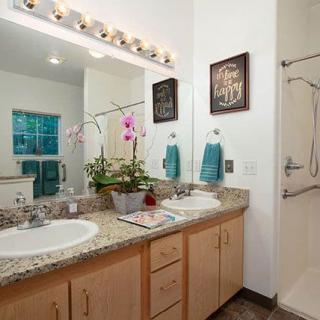 A modern bathroom featuring a granite countertop with double sinks, decorative lighting, and an orchid plant.