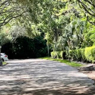 A quiet road lined with lush trees and greenery on a sunny day.