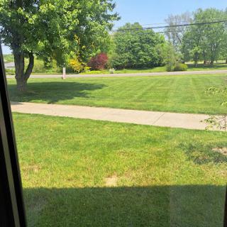 A sunny day showcasing a well-maintained lawn with trees and a sidewalk.