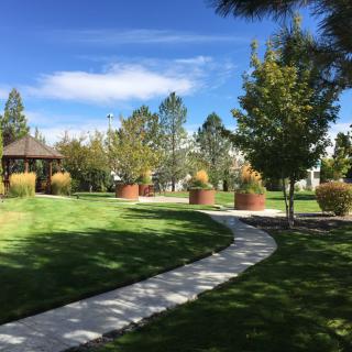 A serene park scene with a winding pathway leading to a gazebo, surrounded by lush greenery and trees.
